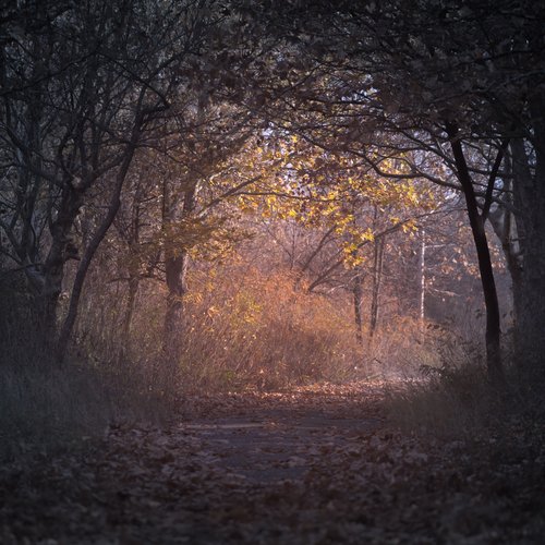 Meditating Music cover art