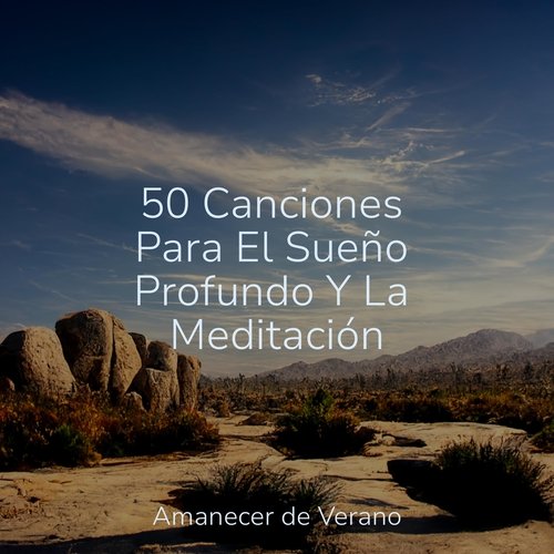 50 Canciones Para El Sueño Profundo Y La Meditación