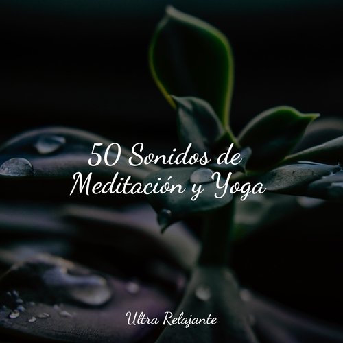 50 Sonidos de Meditación y Yoga