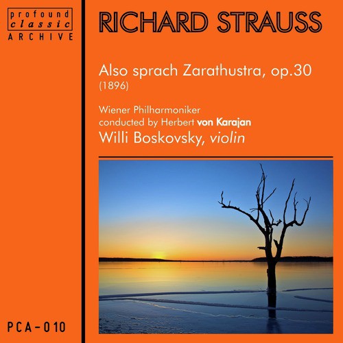 Also Sprach Zarathustra, Op. 30: VIII. The Dance Song - The Night Song