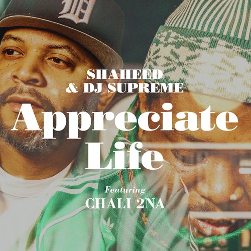 Appreciate Life_poster_image