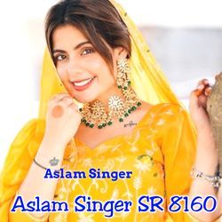 Aslam Singer Sr 8160-GREmZx1IAnE