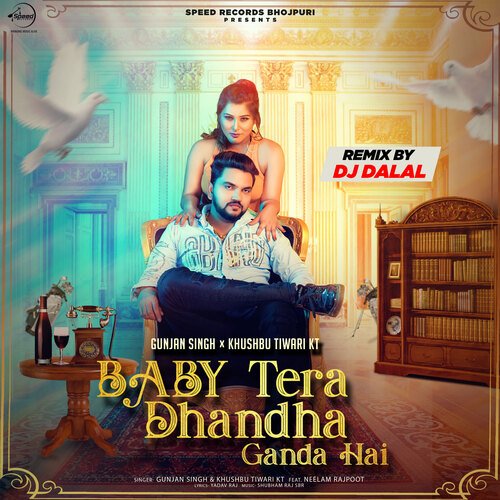 Baby Tera Dhandha Ganda Hai (Remix)