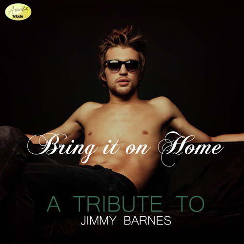 Bring It On Home (A Tribute to Jimmy Barnes)