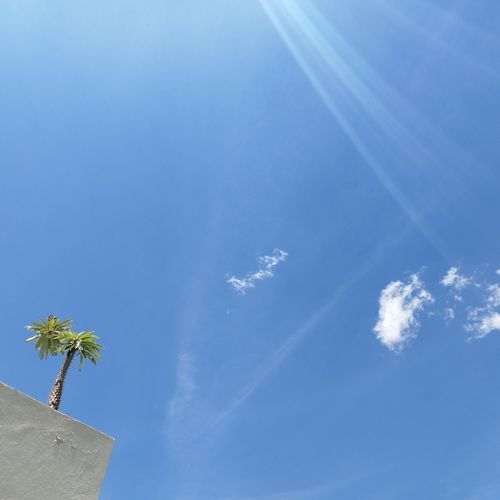 springwatercame cover art