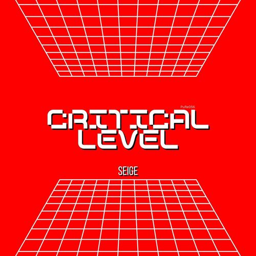 Critical Level_poster_image