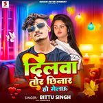 Dilwa Tor Chhinar Ho Gelau