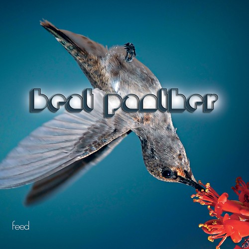 Phil cover art