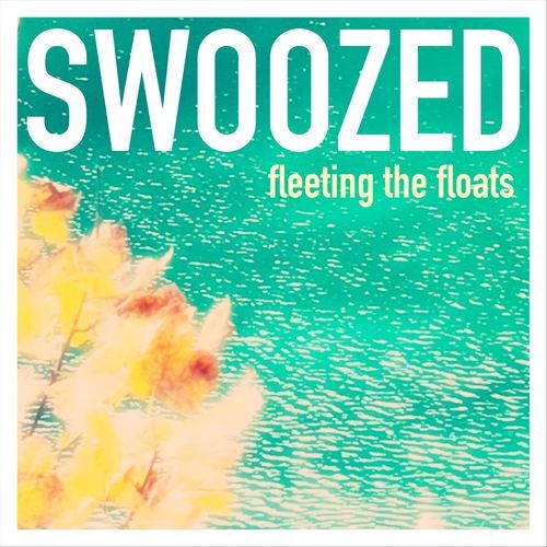 Fleeting The Floats cover art