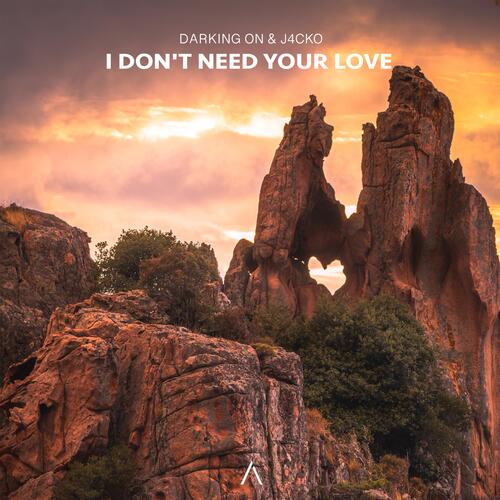 I Don&#039;t Need Your Love_poster_image