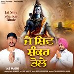 Jai Shiv Shankar Bhole