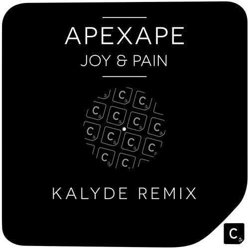 Joy &amp; Pain (Kalyde Remix)_poster_image