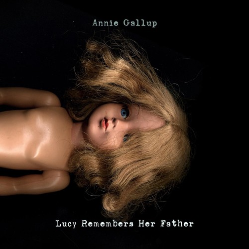 Luminary cover art