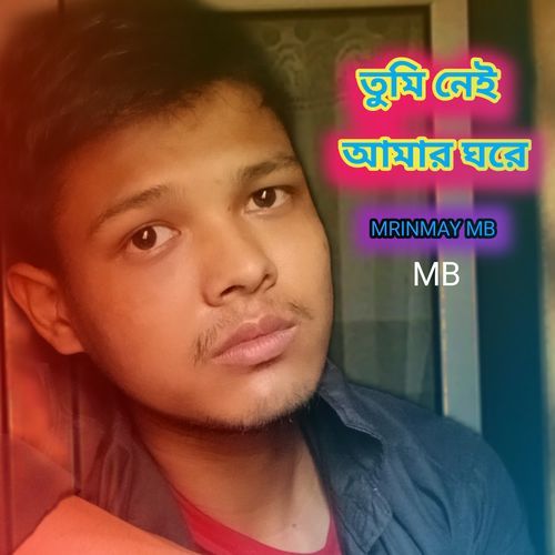 তুমি নেই আমার ঘরে