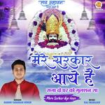 Mere Sarkar Aye Hain