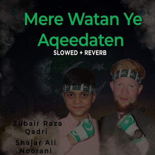 Mere Watan Ye Aqeedaten (Lofi-Mix)