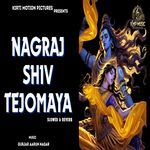 Nagraj Shiv Tejomaya Slowed & Reverb artwork