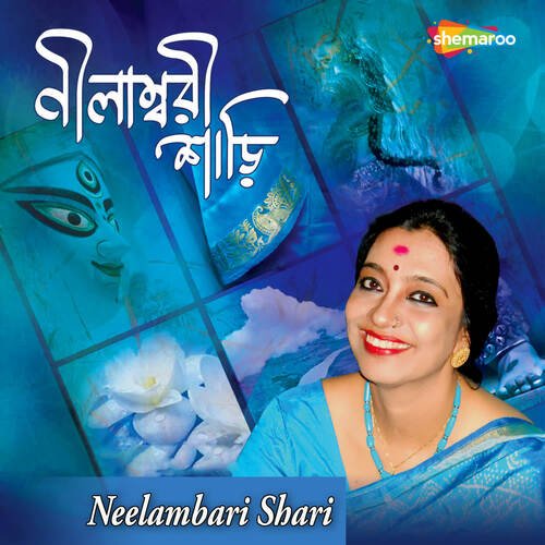 Neelambari Shari Pori