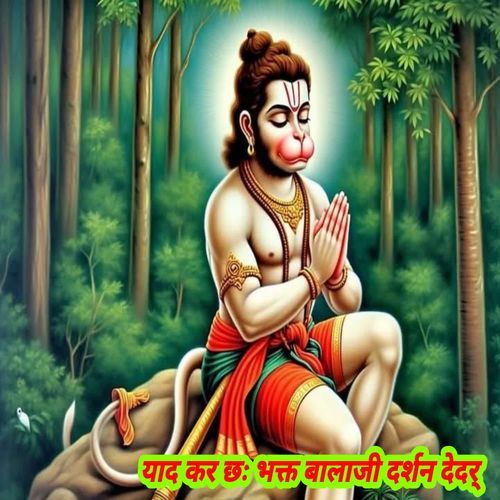 याद कर छ भक्त बालाजी दर्शन देदर्