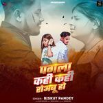 Pagla Kahi Kahi Roabu Ho