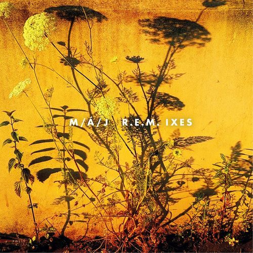 V mlze (Jonáš Richter Remix) cover art