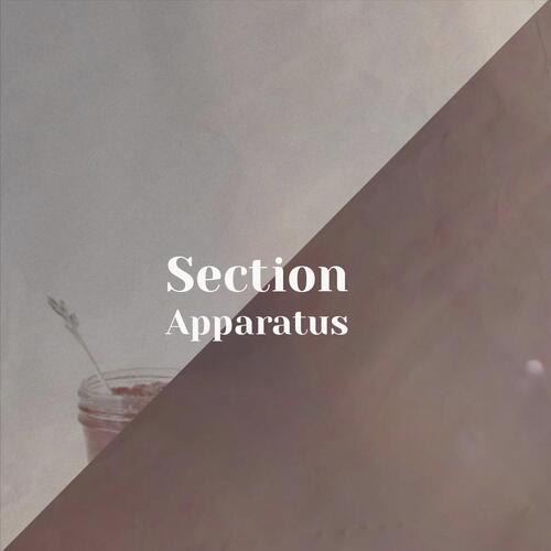Ingenuity cover art