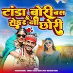 Tanda bori bus Sherni Chori