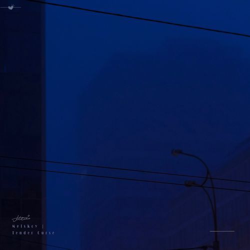 Tender Curse (Slowed)