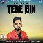 Tere Bin