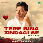 Tere Bina Zindagi Se - Cover artwork