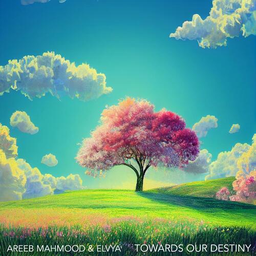 Towards Our Destiny_poster_image