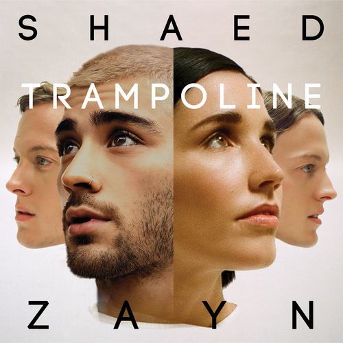 Trampoline cover art