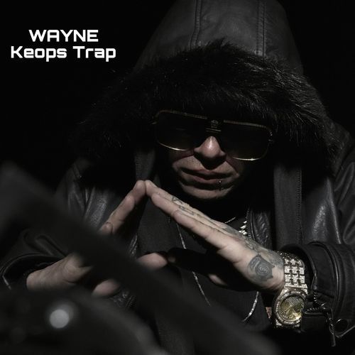 Wayne cover art