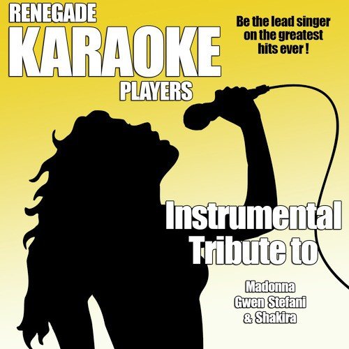 Into the Groove (Karaoke Version)