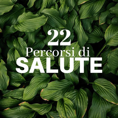 Meditazione Tibetana