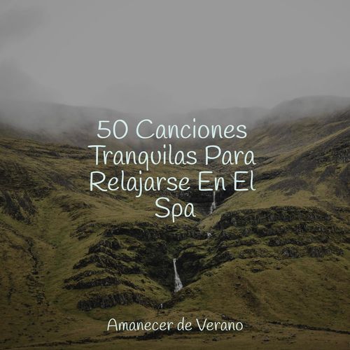 50 Canciones Tranquilas Para Relajarse En El Spa_poster_image