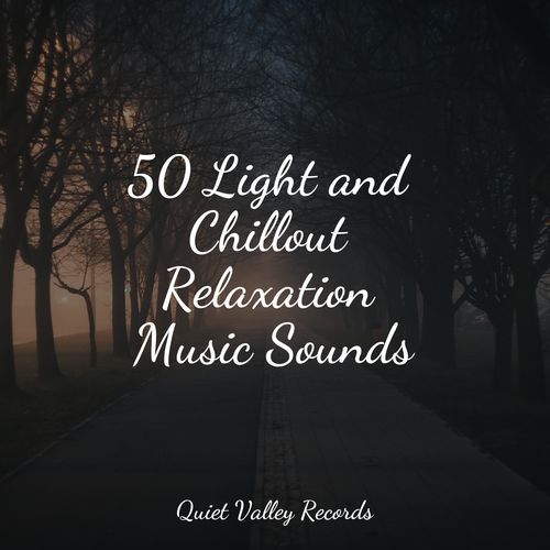 50 Light and Chillout Relaxation Music Sounds