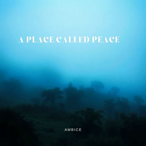 Level cover art
