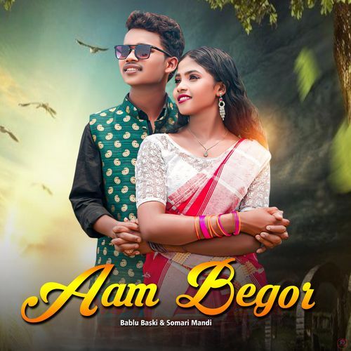 Aam Begor