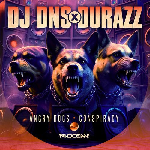 Angry Dogs