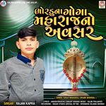 Bhordu Na Goga Maharaj No Avasar