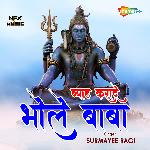 Byah Karade Bhole Baba