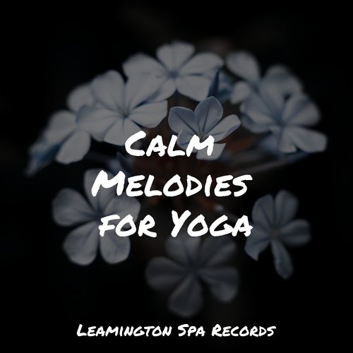 Calm Melodies for Yoga