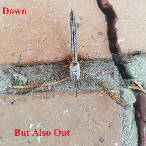 Delaware Song cover art