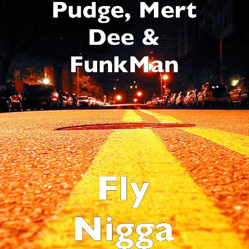 Fly Nigga_poster_image