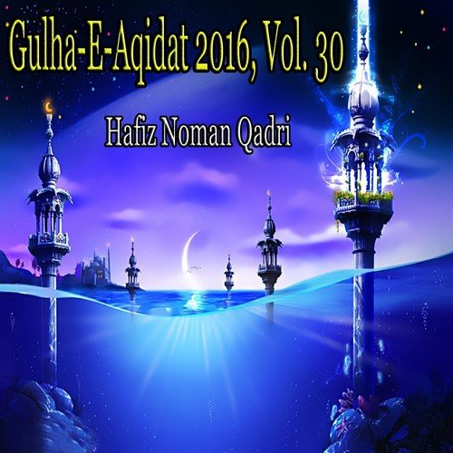 Gulha-e-Aqidat 2016, Vol. 30