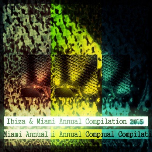 Ibiza & Miami Annual Compilation 2015 (80 Super Dance Tracks)