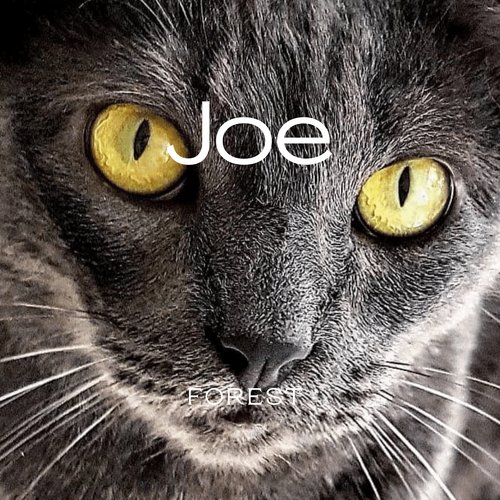 Joe