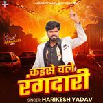 Kaise Chale Rangdaari