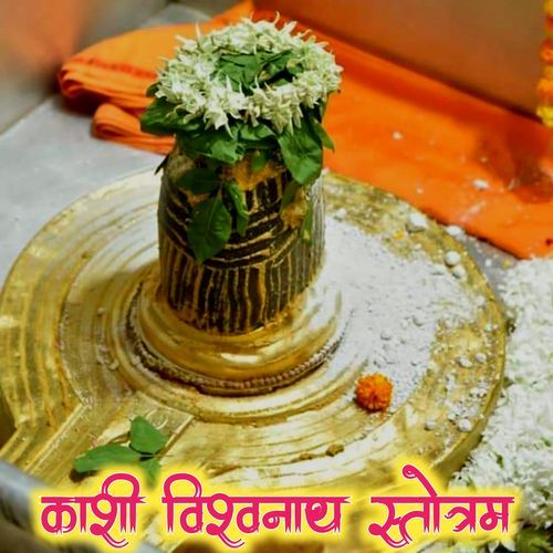 Kashi Vishwanath Ashatkam Stottram